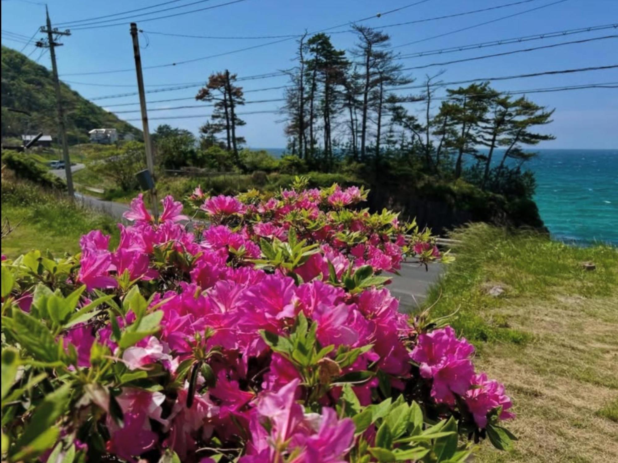 レンタルコテージサントロペ Kjotango Kültér fotó