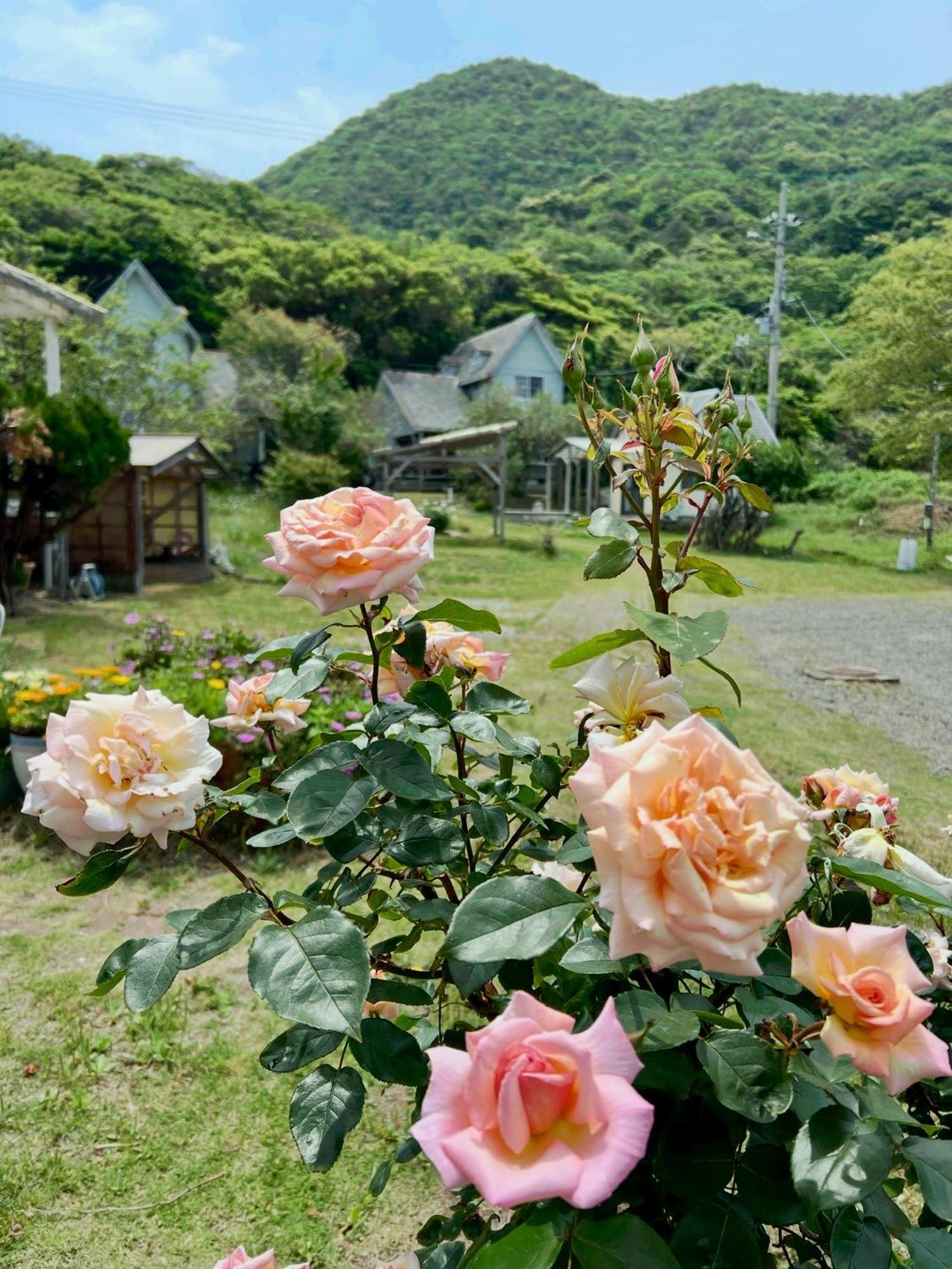 レンタルコテージサントロペ Kjotango Kültér fotó